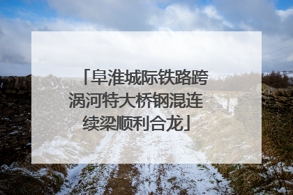 阜淮城际铁路跨涡河特大桥钢混连续梁顺利合龙