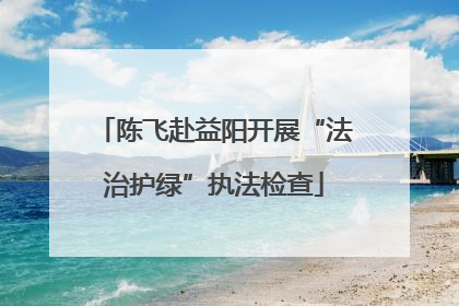 陈飞赴益阳开展“法治护绿”执法检查