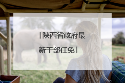 陕西省政府最新干部任免