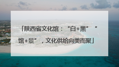 陕西省文化馆：“白+黑”“馆+景”，文化供给向美而聚