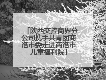 陕西交控商界分公司携手共青团商洛市委走进商洛市儿童福利院