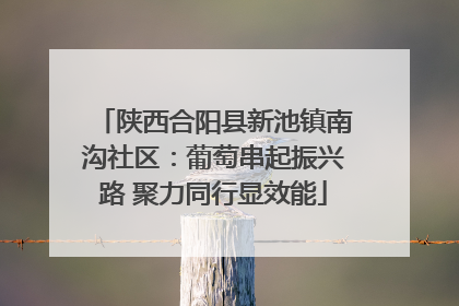 陕西合阳县新池镇南沟社区：葡萄串起振兴路 聚力同行显效能