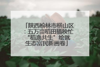 陕西榆林市横山区：五万亩稻田插秧忙 “稻渔共生”绘就生态富民新画卷