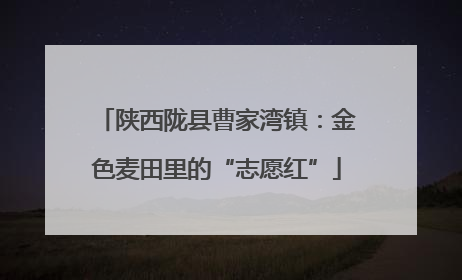 陕西陇县曹家湾镇：金色麦田里的“志愿红”