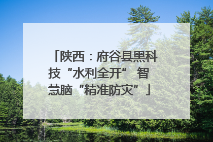 陕西：府谷县黑科技“水利全开” 智慧脑“精准防灾”