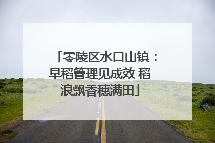零陵区水口山镇：早稻管理见成效 稻浪飘香穗满田