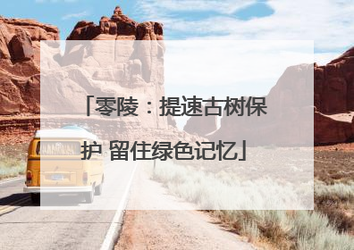 零陵：提速古树保护 留住绿色记忆