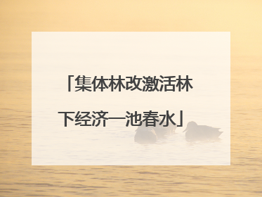 集体林改激活林下经济一池春水