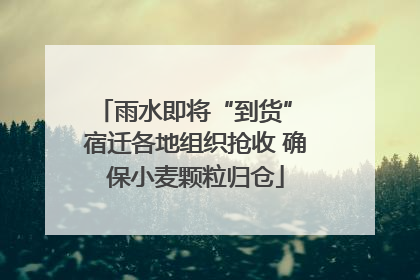 雨水即将“到货” 宿迁各地组织抢收 确保小麦颗粒归仓
