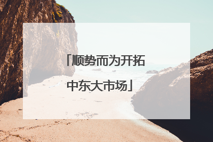 顺势而为开拓中东大市场