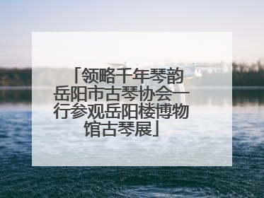 领略千年琴韵 岳阳市古琴协会一行参观岳阳楼博物馆古琴展