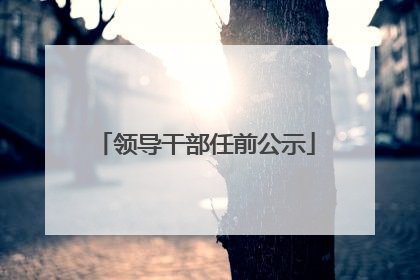 领导干部任前公示