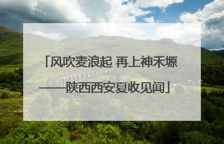 风吹麦浪起 再上神禾塬——陕西西安夏收见闻