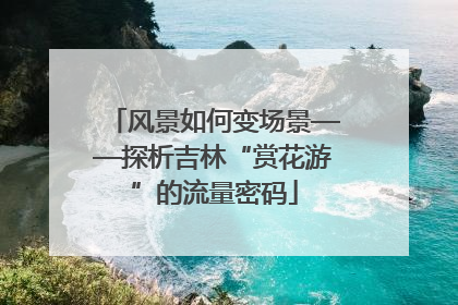 风景如何变场景——探析吉林“赏花游”的流量密码