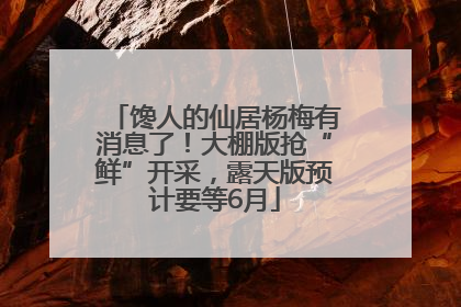 馋人的仙居杨梅有消息了！大棚版抢“鲜”开采，露天版预计要等6月