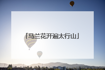 马兰花开遍太行山