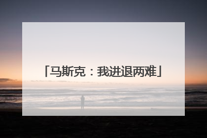 马斯克：我进退两难