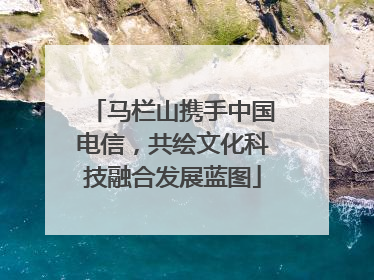 马栏山携手中国电信，共绘文化科技融合发展蓝图