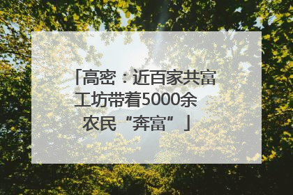 高密：近百家共富工坊带着5000余农民“奔富”