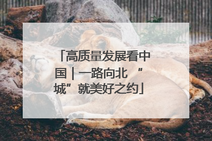 高质量发展看中国｜一路向北 “城”就美好之约