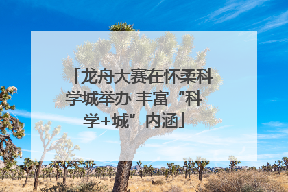 龙舟大赛在怀柔科学城举办 丰富“科学+城”内涵