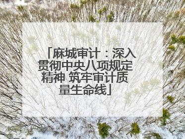 麻城审计：深入贯彻中央八项规定精神 筑牢审计质量生命线