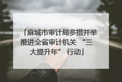 麻城市审计局多措并举推进全省审计机关 “三大提升年” 行动