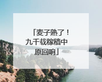 麦子熟了！九千载稼穑中原回响
