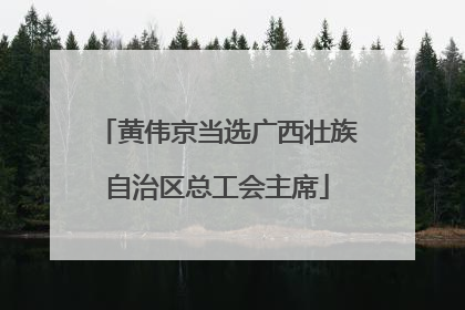 黄伟京当选广西壮族自治区总工会主席
