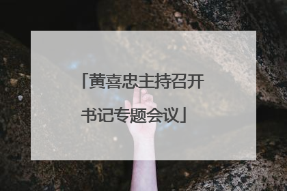 黄喜忠主持召开书记专题会议