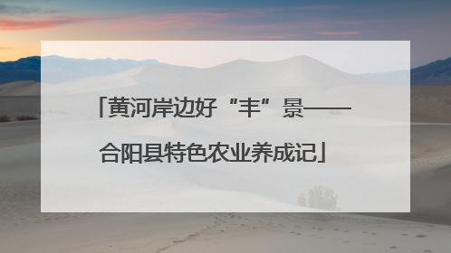 黄河岸边好“丰”景——合阳县特色农业养成记