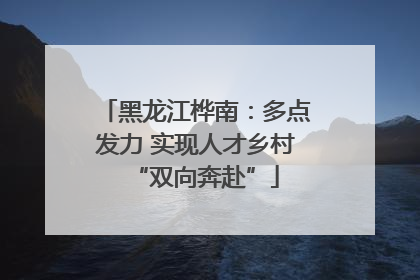 黑龙江桦南：多点发力 实现人才乡村“双向奔赴”