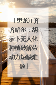 黑龙江齐齐哈尔：胡萝卜无人化种植破解劳动力短缺难题