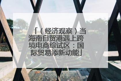 （经济观察）当海南自贸港遇上跨境电商综试区：国际贸易添新动能