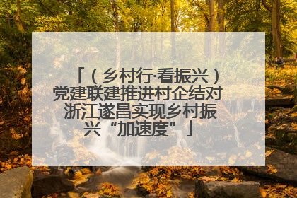 （乡村行·看振兴）党建联建推进村企结对 浙江遂昌实现乡村振兴“加速度”