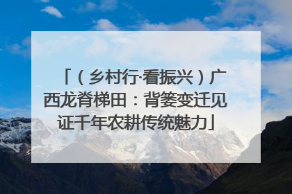 （乡村行·看振兴）广西龙脊梯田：背篓变迁见证千年农耕传统魅力