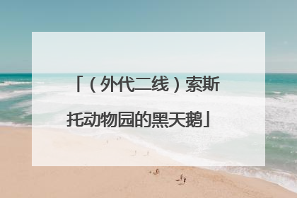 （外代二线）索斯托动物园的黑天鹅