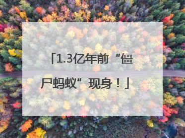 1.3亿年前“僵尸蚂蚁”现身！