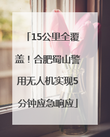 15公里全覆盖！合肥蜀山警用无人机实现5分钟应急响应