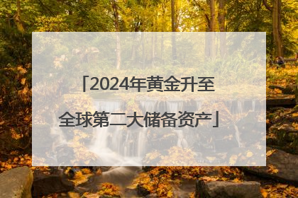 2024年黄金升至全球第二大储备资产