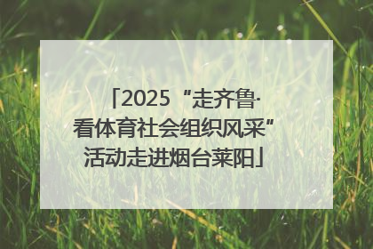 2025“走齐鲁·看体育社会组织风采”活动走进烟台莱阳