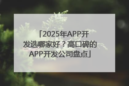 2025年APP开发选哪家好？高口碑的APP开发公司盘点