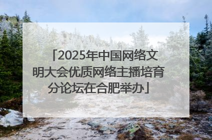 2025年中国网络文明大会优质网络主播培育分论坛在合肥举办