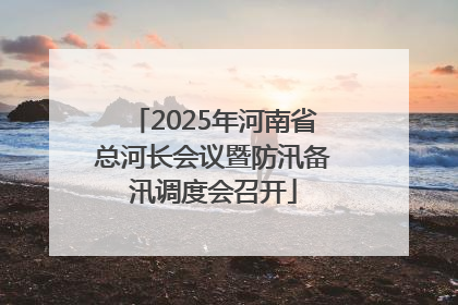 2025年河南省总河长会议暨防汛备汛调度会召开
