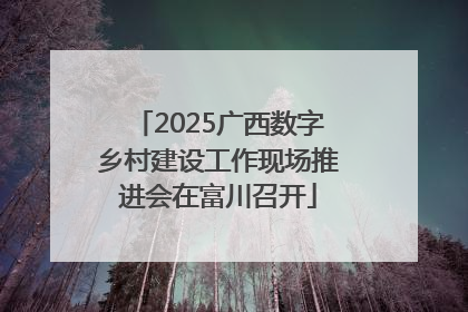 2025广西数字乡村建设工作现场推进会在富川召开