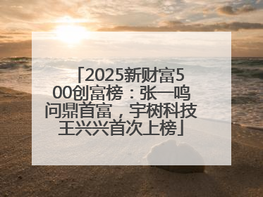 2025新财富500创富榜：张一鸣问鼎首富，宇树科技王兴兴首次上榜