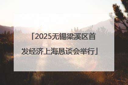 2025无锡梁溪区首发经济上海恳谈会举行