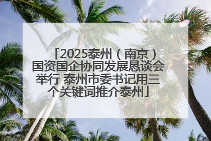 2025泰州（南京）国资国企协同发展恳谈会举行 泰州市委书记用三个关键词推介泰州
