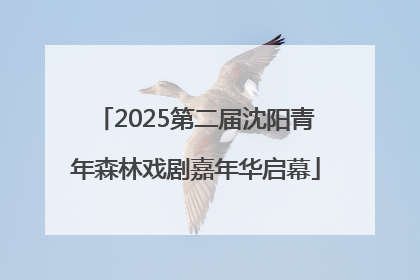 2025第二届沈阳青年森林戏剧嘉年华启幕