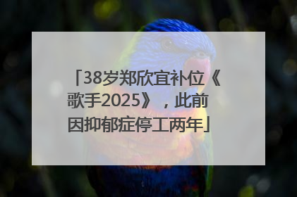 38岁郑欣宜补位《歌手2025》，此前因抑郁症停工两年